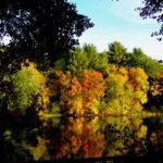NC STEM e-Update (Sept. 24, 2026)