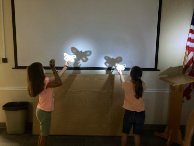 Leap Into Science fun with light and shadows