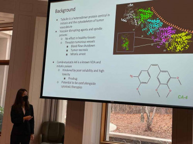 Winnie Wang presenting her research for the NCISC Winnie Wang presenting her research for the NCISC